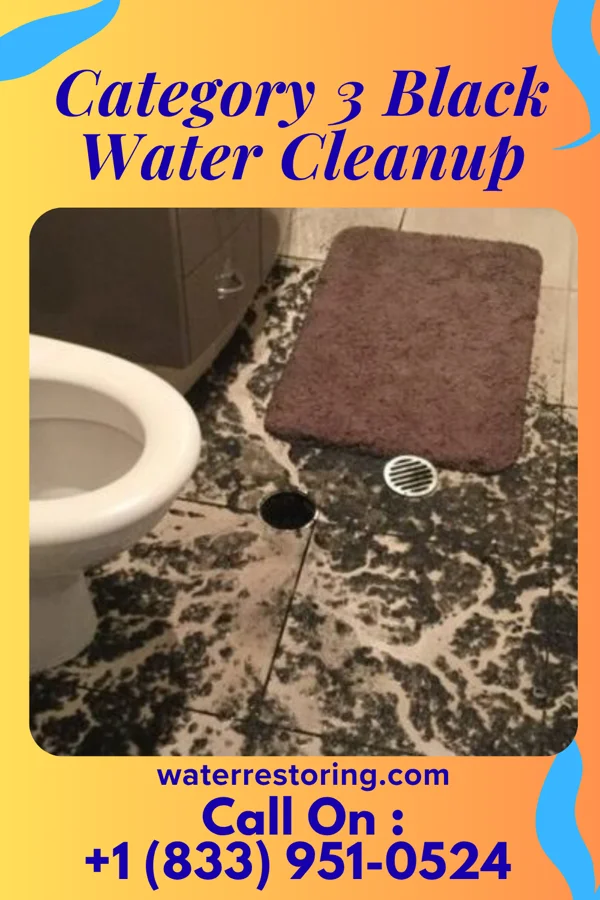 Category 3 Black Water Cleanup in Winnebago, MN